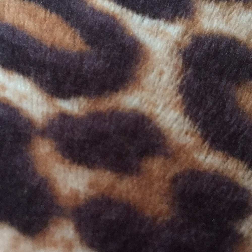 Meet your Posher, Taylor